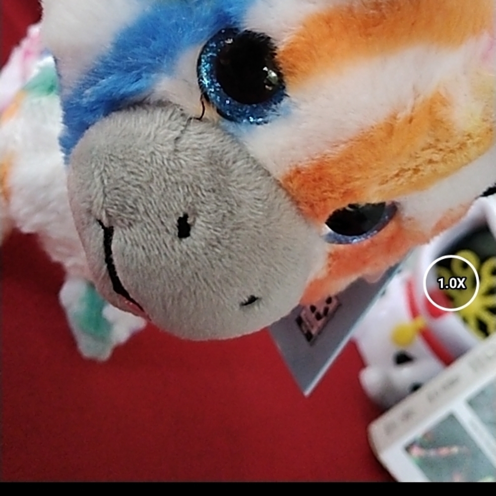 Colorful Walking Zebra